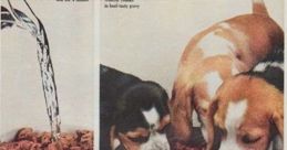 Gravy Train Dog Food Advert