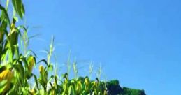 Green Giant Advert