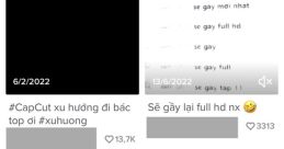 Sẽ Gày