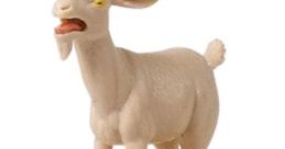 Goat Scream