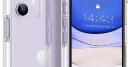 Case