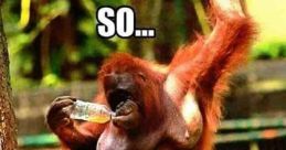 Hahahahaha