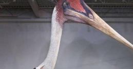 Pterodactyl