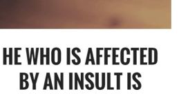 Insult