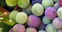 Grape