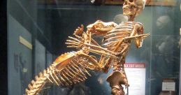 Skeletons