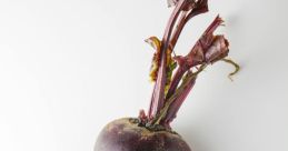 Beet You can find a wide range of that are related to the subject of beet. From classic by Beethoven to catchy tunes