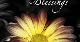 Blessing "Blessing" - This word evokes a sense of serenity and gratitude, which is amplified through the calming of
