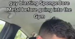 Spongecore