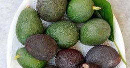 Avocado