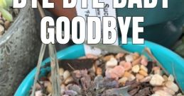 Bye Bye Meme