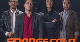 Spongecola