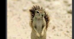 These Nuts