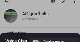 Voice Chat