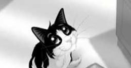 Meow Mix Advert