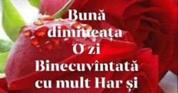 Buna Dimineata
