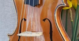 Violins