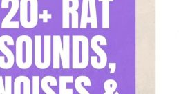 Rat Noise