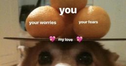 Wholesome
