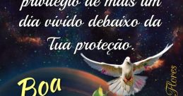 Boa Noite