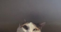 Uuuuhhhh