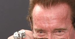 Arnold Schwarzenegger 3
