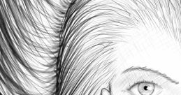 Sketch