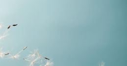 Wind