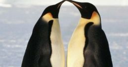 Los,Penguins