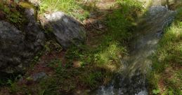 Wasser The of "CYPH Wassertropfen" is like a gentle melody of nature, a soothing symphony of water droplets falling