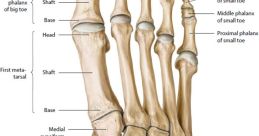 Right Foot