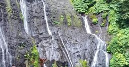 Desa