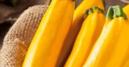 Squash