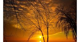 Good Evening
