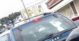 Zoeira