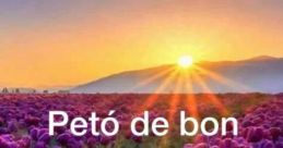 Buenas Buenas The first , "ELm Buenas noches 1," greets listeners with a warm and melodious voice wishing them a good