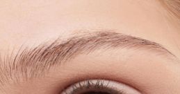 Oog