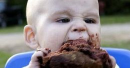 Nom Nom Nom,