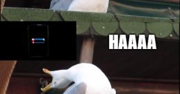 Haaaa The "KAME HAME HAME HAAAA" is synonymous with one of the most iconic attacks in anime history - the Kamehameha wave