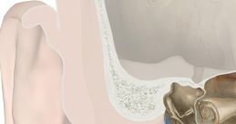 Ear