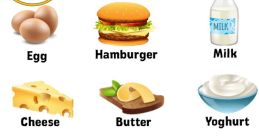 All Our Food