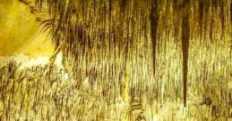 Drach