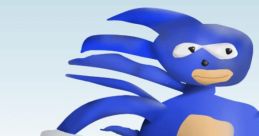 Sanic Sanic