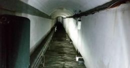 Secret Tunnel