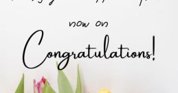 Congrats