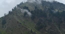 Naran