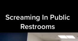 Screaming In Public Restrooms Prank
