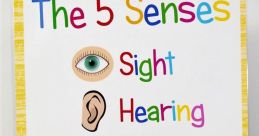 Senses
