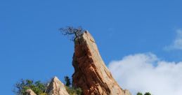 Terrain