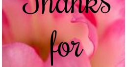 Thank You For The Follow